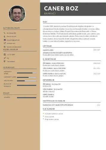 Bankacı CV Örnekleri cv indir